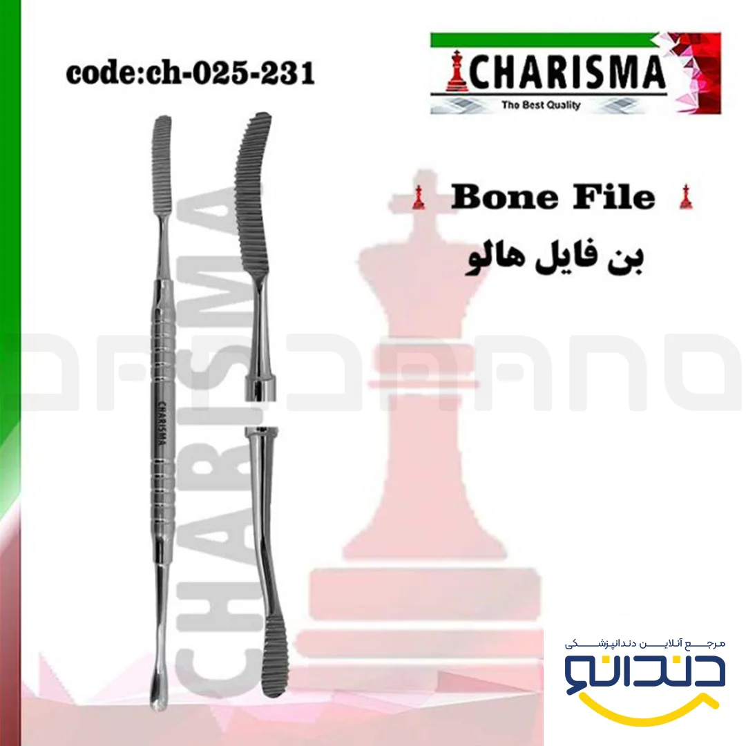 بن فایل هالو 231 - کاریزما