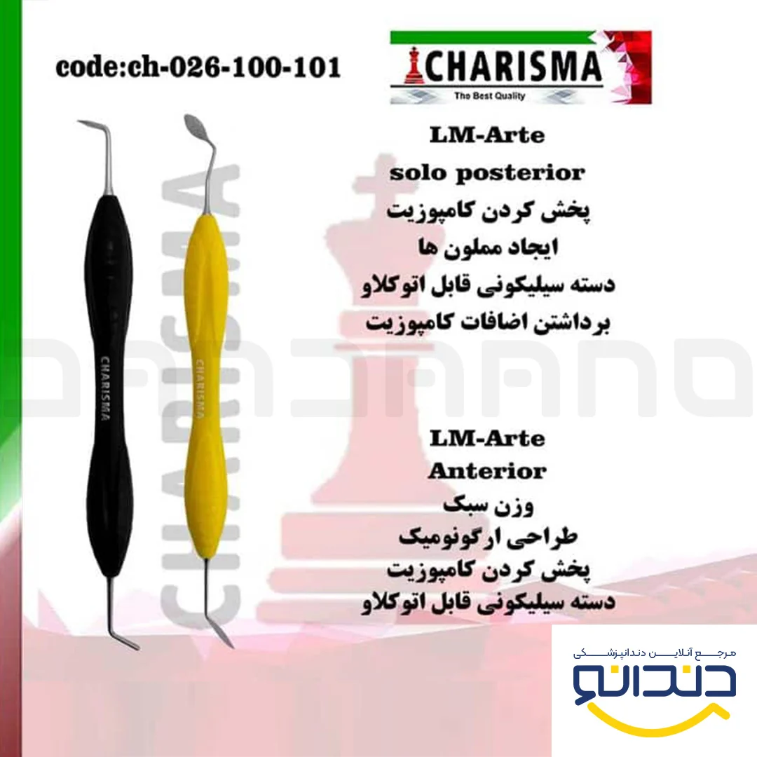 قلم کامپوزیت سیلیکونی مشکی خلفی LM Solo Posterior - کاریزما