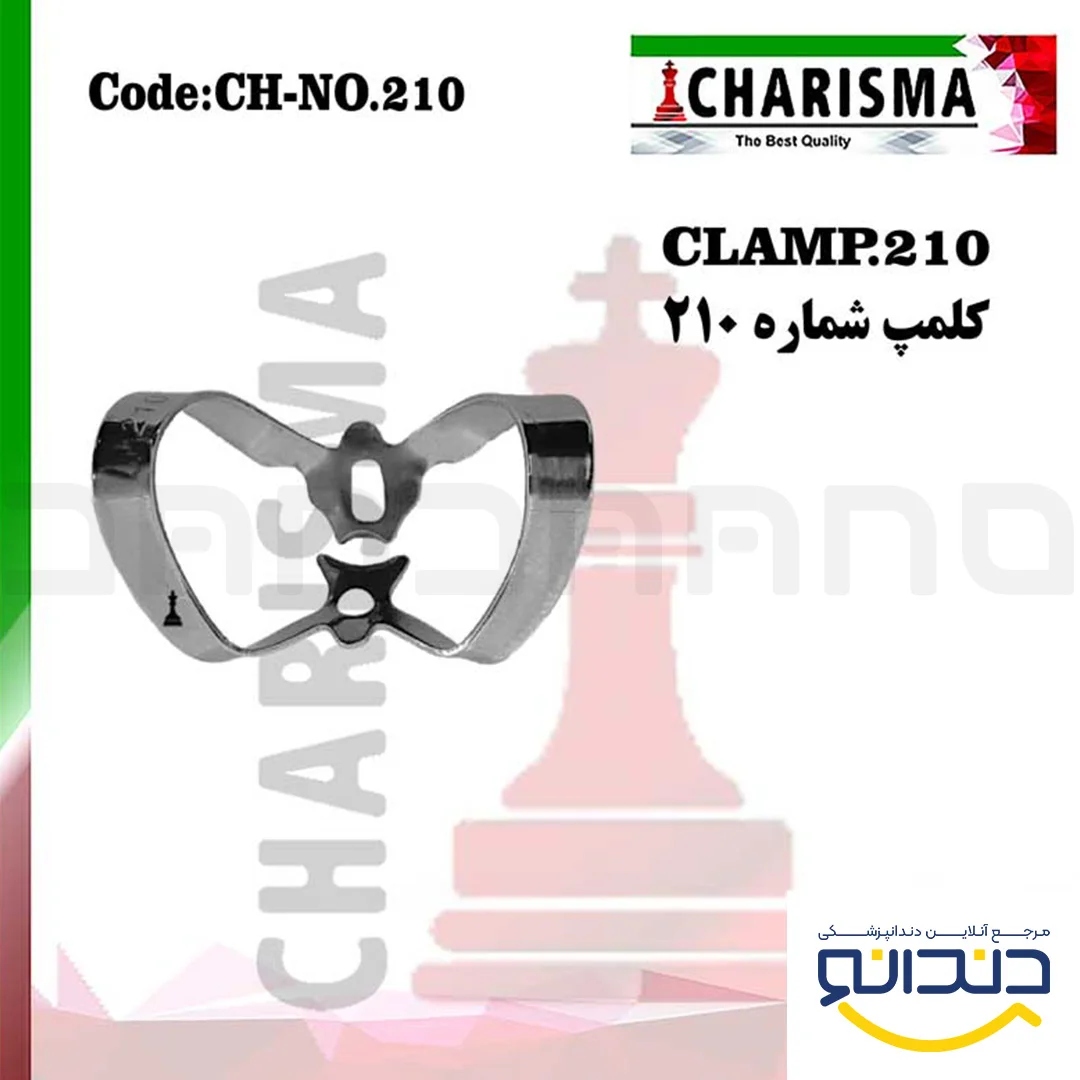 کلمپ 210 - کاریزما