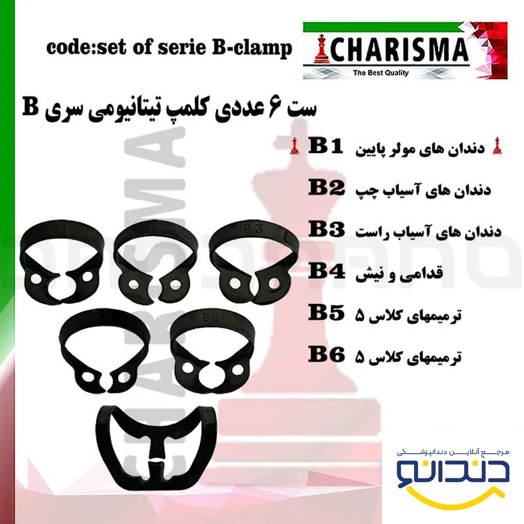 ست کلمپ رابردم سری B تیتانیومی (2رنگ) - کاریزما