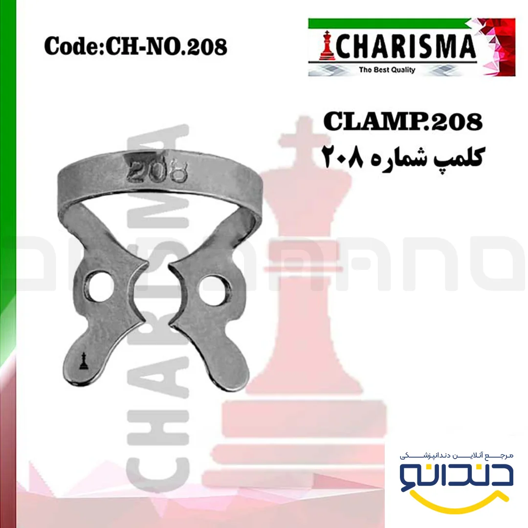 کلمپ 208 - کاریزما
