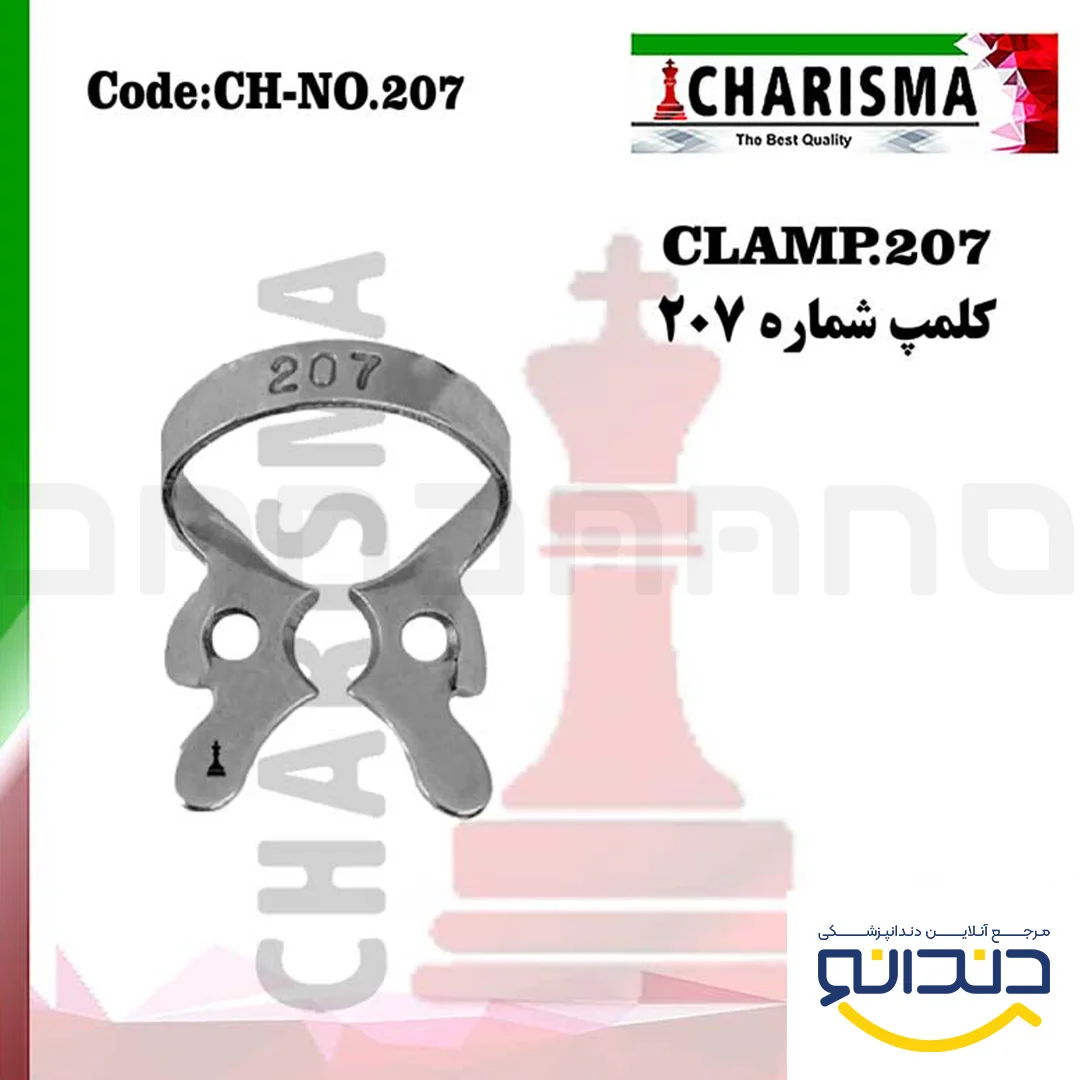 کلمپ 207 - کاریزما
