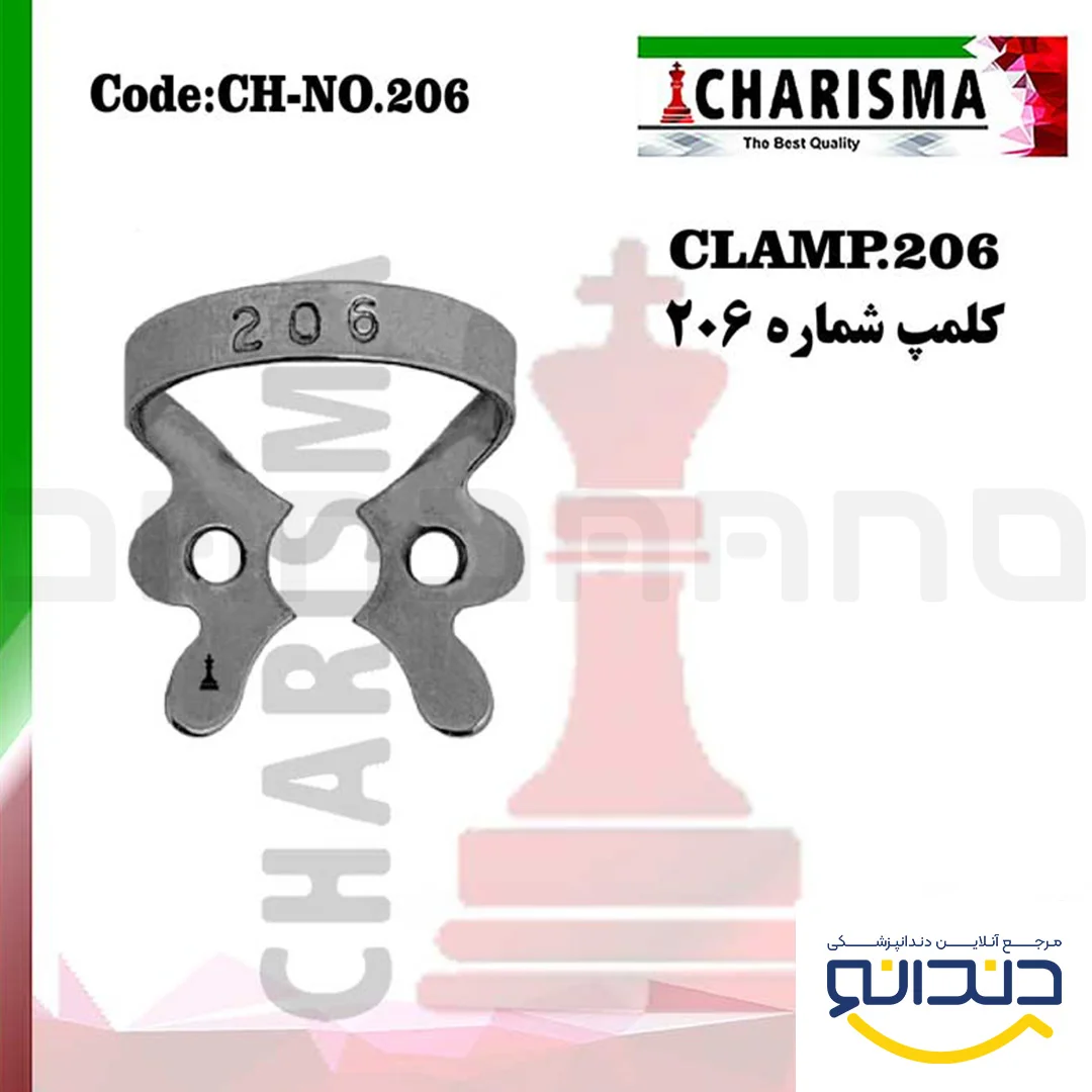 کلمپ 206 - کاریزما