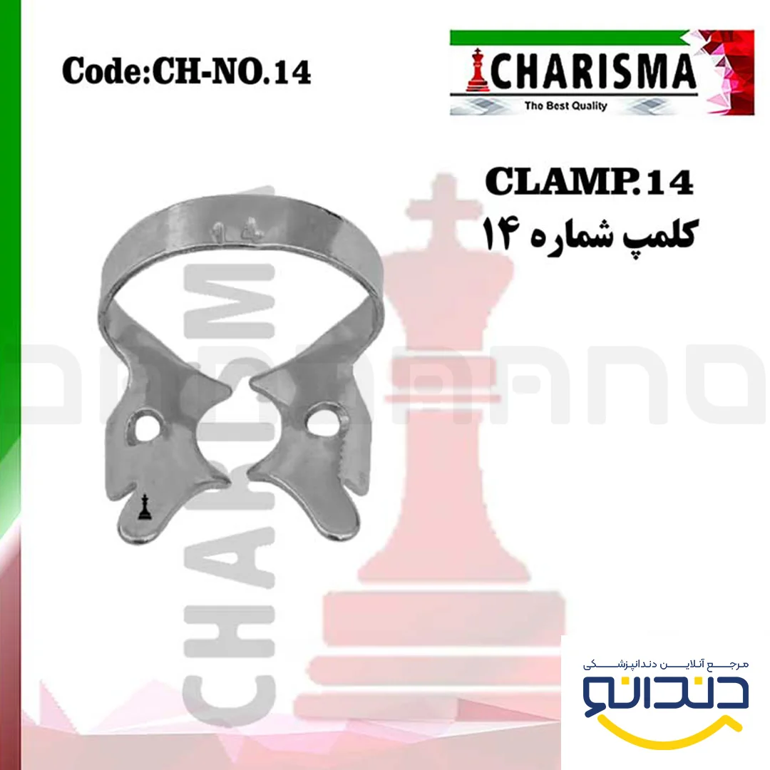 کلمپ 14 - کاریزما