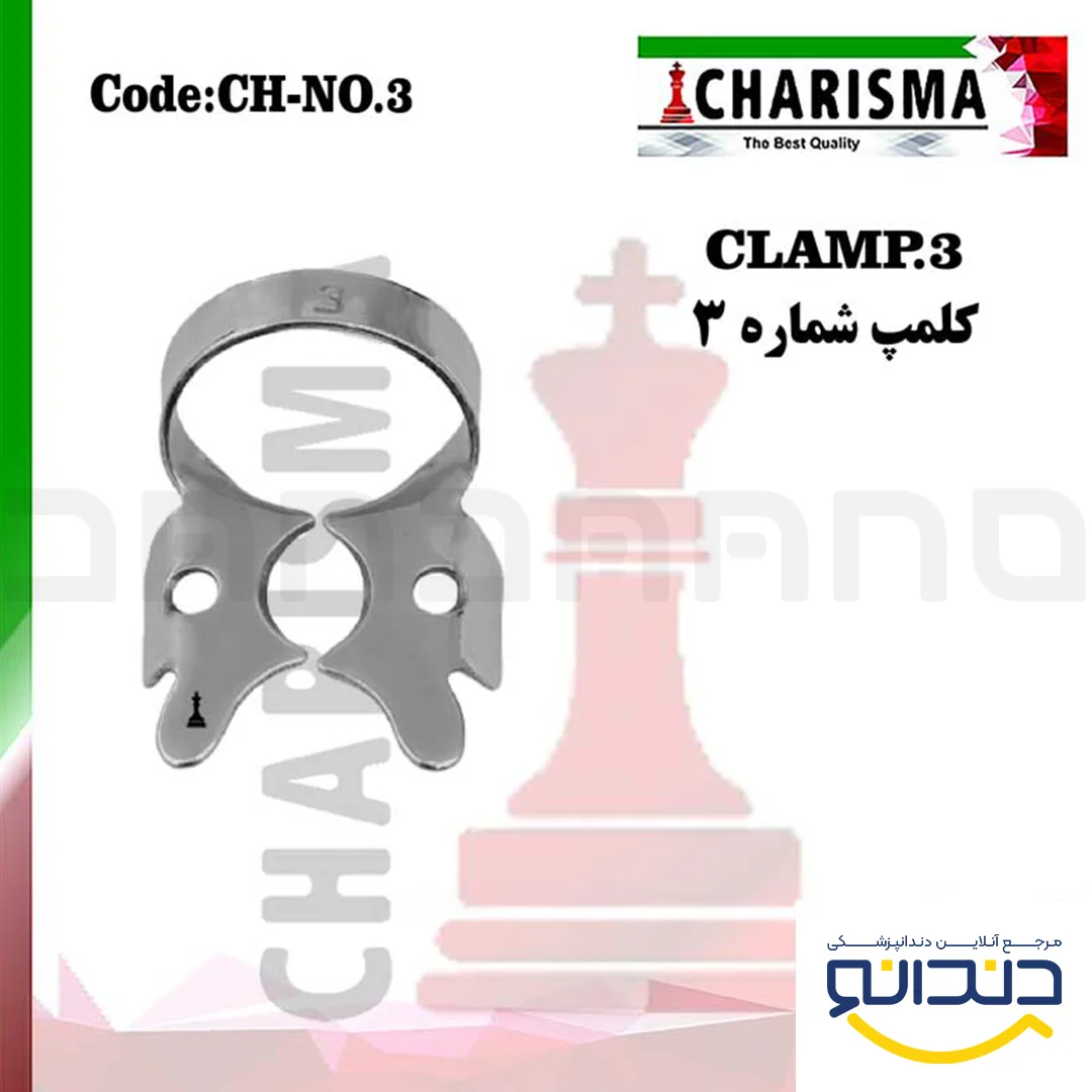 کلمپ 3 - کاریزما