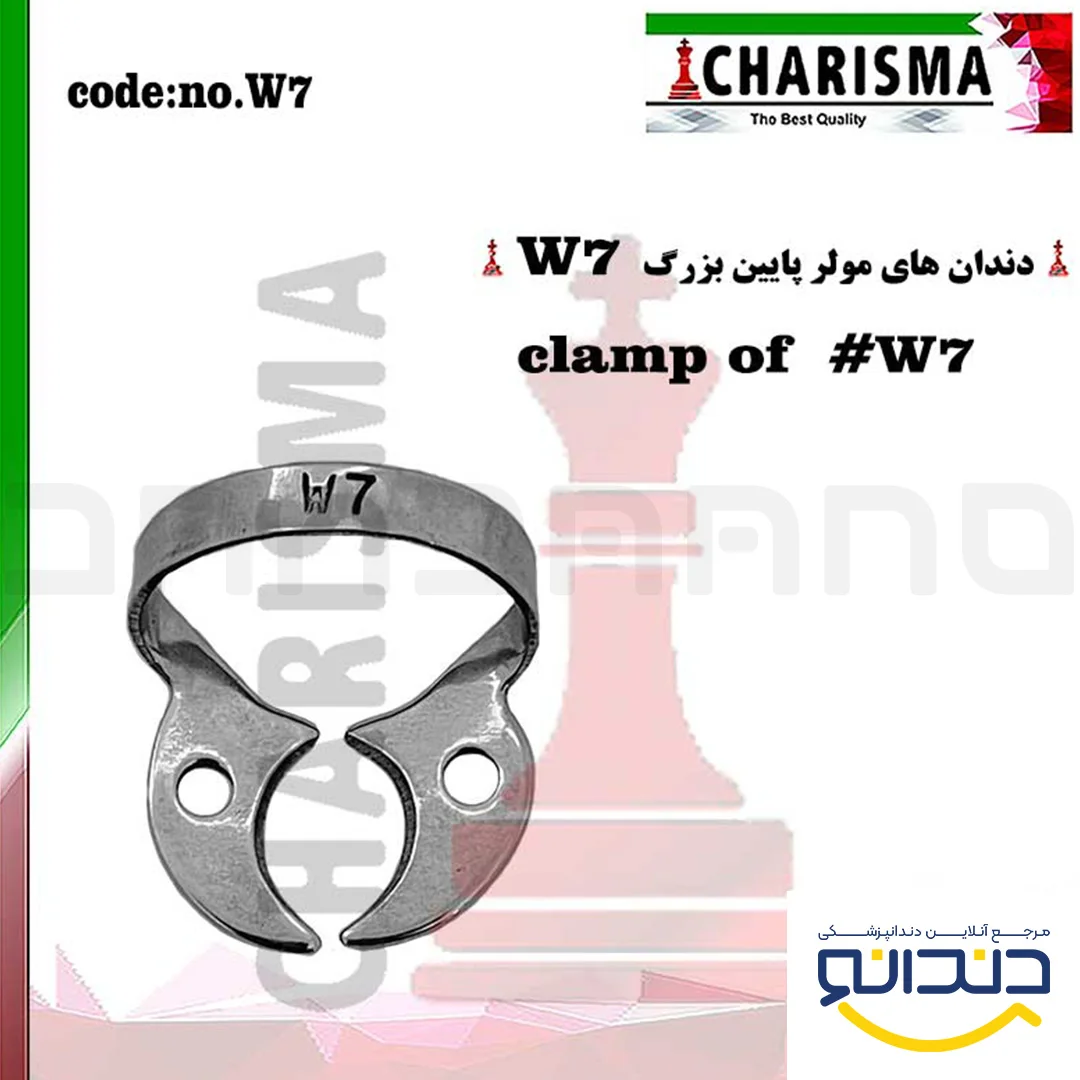 کلمپ W7 - کاریزما