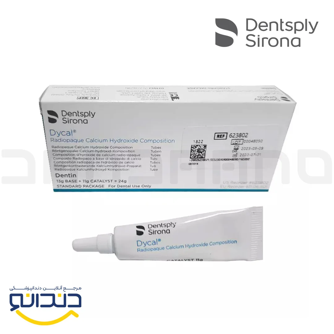 دایکال - دنسپلی
