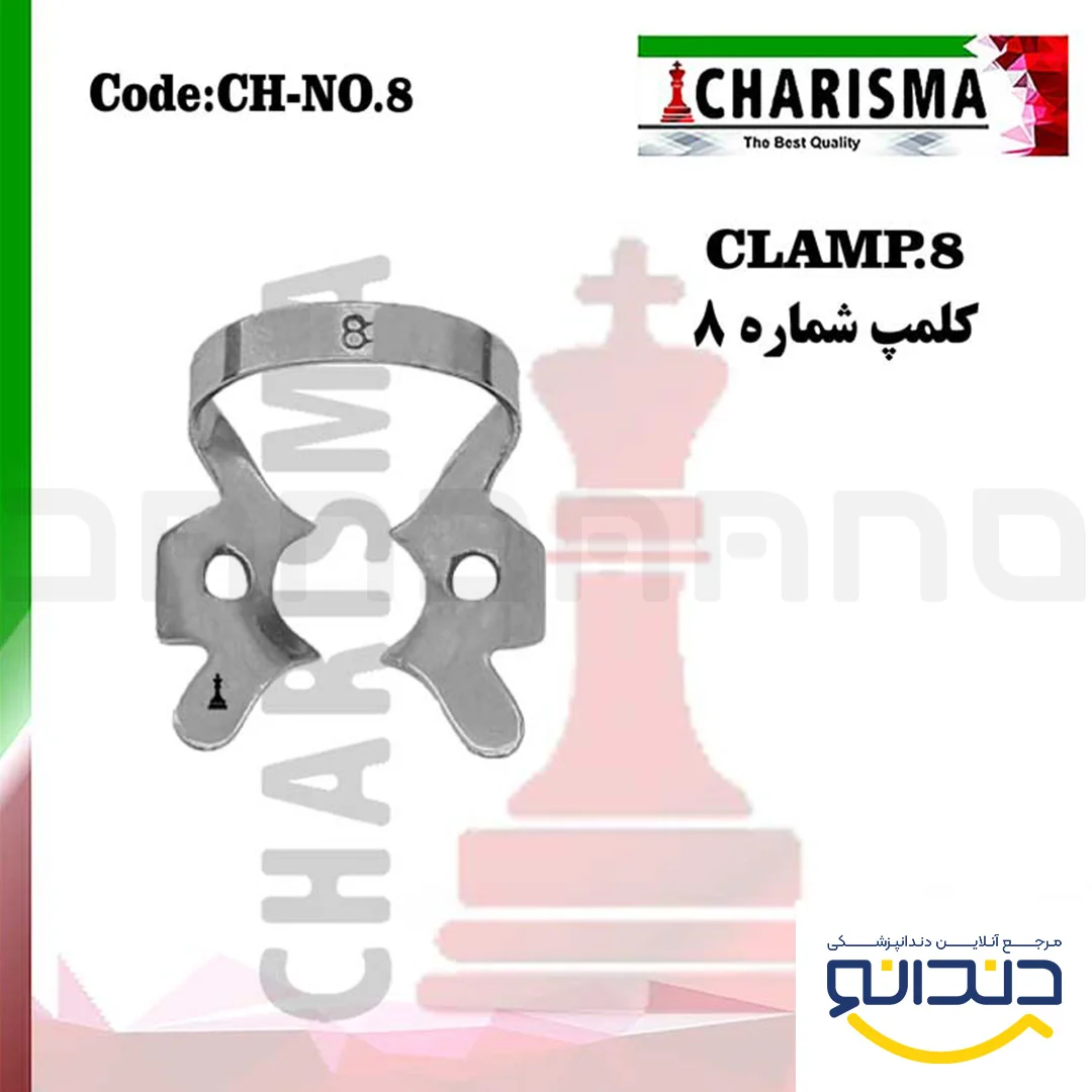 کلمپ 8 - کاریزما