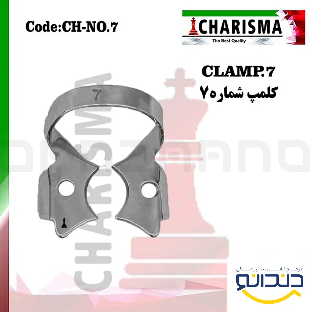 کلمپ 7 - کاریزما