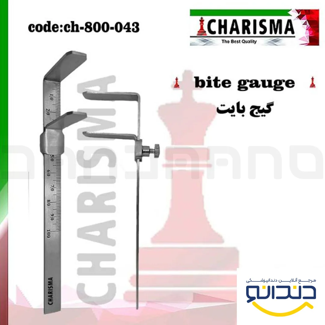 گیج بایت - کاریزما