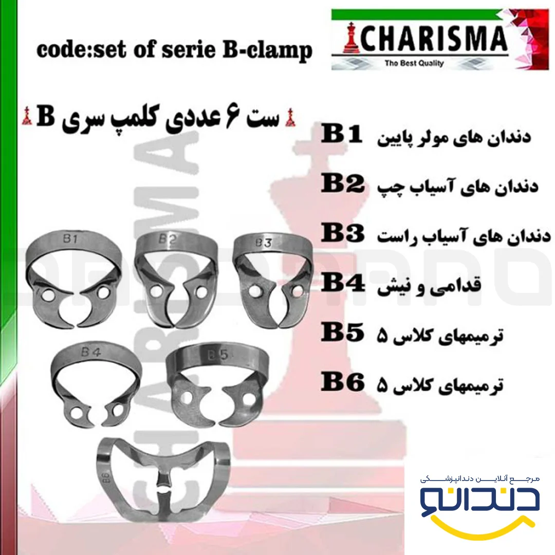 ست کلمپ سری B استیل - کاریزما