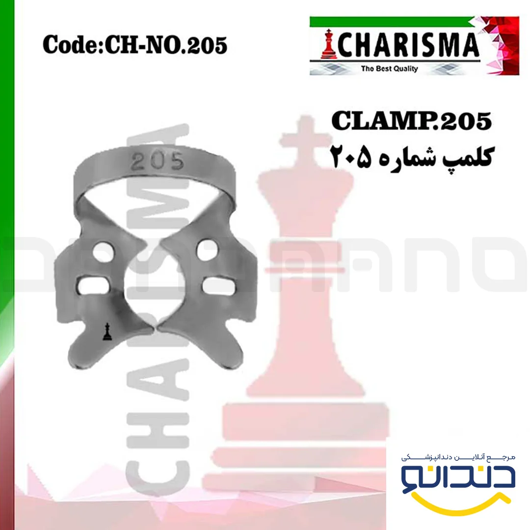 کلمپ 205 - کاریزما