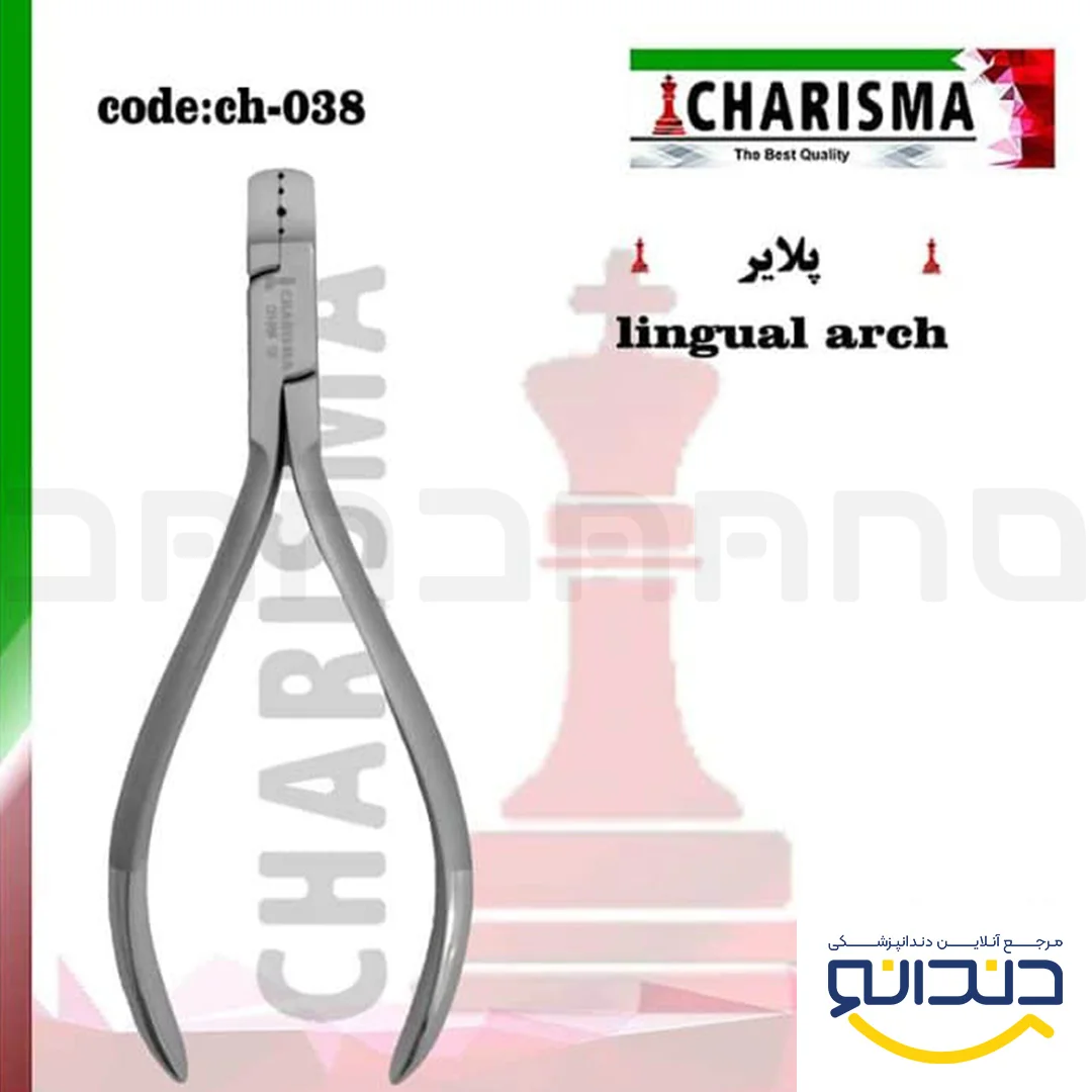 پلایر LINGUAL ARCH - کاریزما