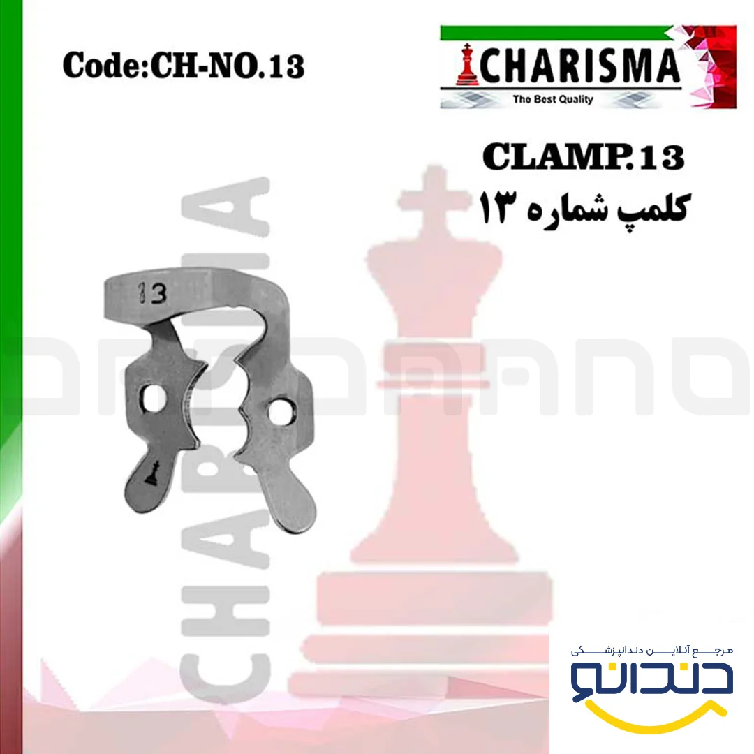 کلمپ 13 - کاریزما